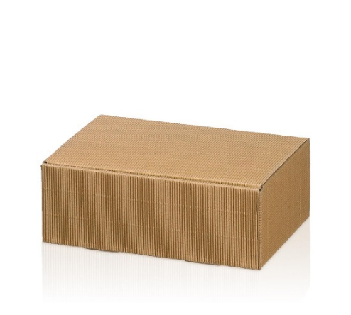 Geschenkkarton gross 37 x 27 x 10 cm