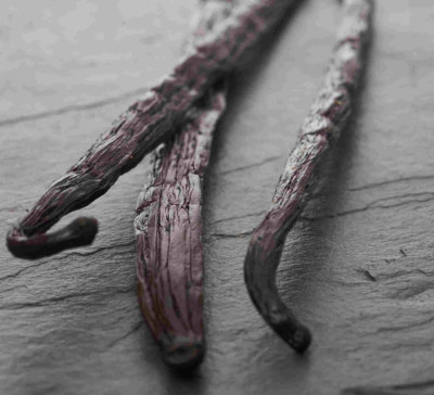 Afrika Seminar Afrika Seminar