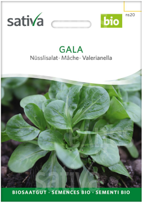 Bio Saatgut - Stngelkohl Cima di Rapa | Gewrze der Welt