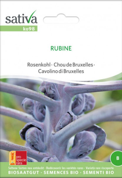 Bio Saatgut - Rosenkohl Rubine