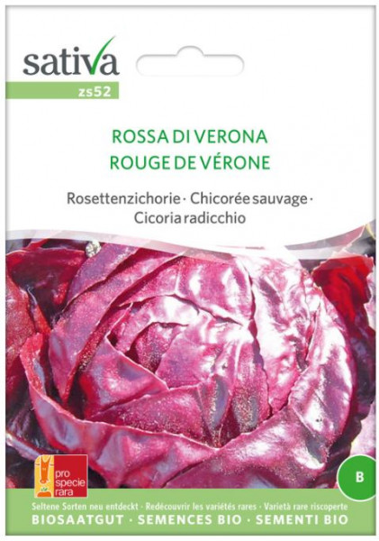 Bio Saatgut - Radicchio Rossa di Verona