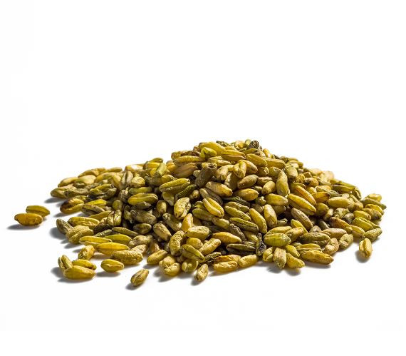 Freekeh