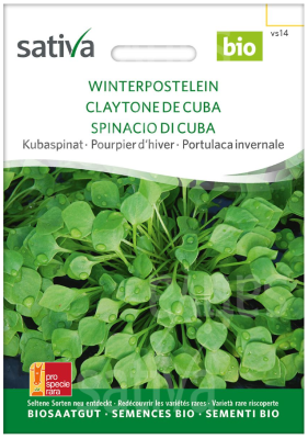 Little Plants BIO Winterpostelein Samen 800 Winterp Produktbild-Vorschau 1