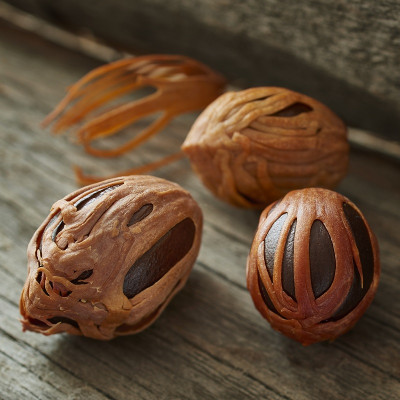 Raritäten & Exoten Seminar Raritäten & Exoten Seminar