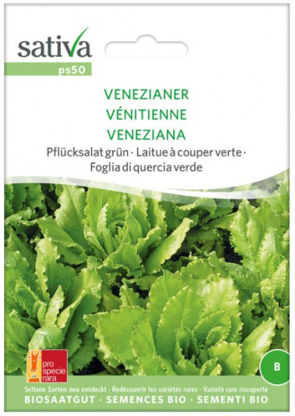 Bio Saatgut - Pflücksalat Venezianer