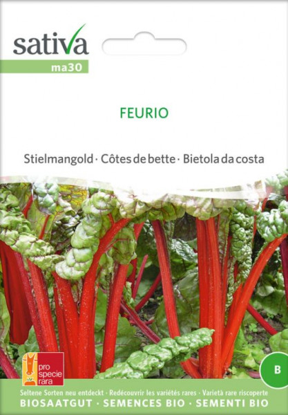 Bio Saatgut - Stielmangold Feurio