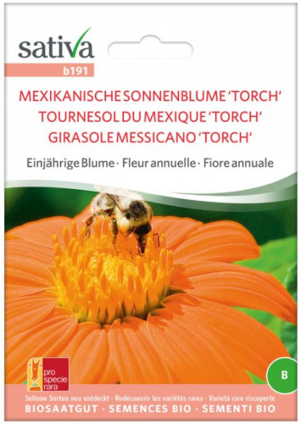 Bio Saatgut - Einjährige Blume Mexikanische Sonnenblume 'Torch'