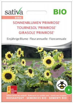 Bio Saatgut - Sonnenblume Primrose | Gewrze der Welt