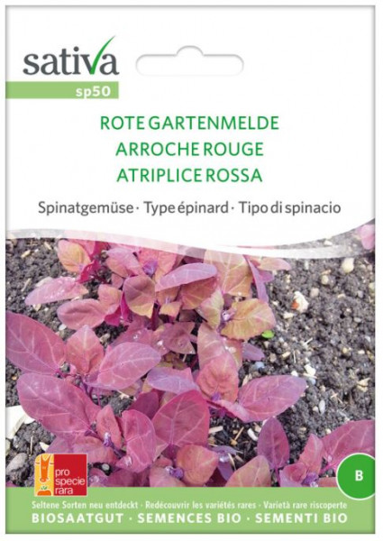 Bio Saatgut - Spinatgemüse Rote Gartenmelde