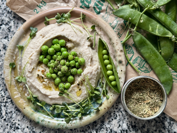 Article has no image