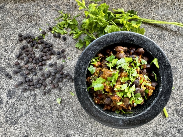 Article has no image