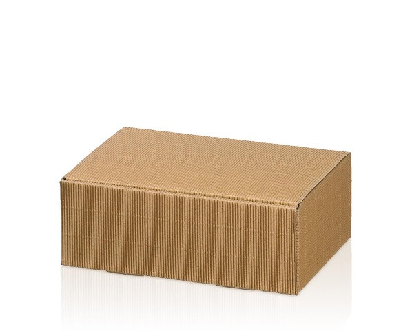 Geschenkkarton klein 23 x 16 x 8 cm