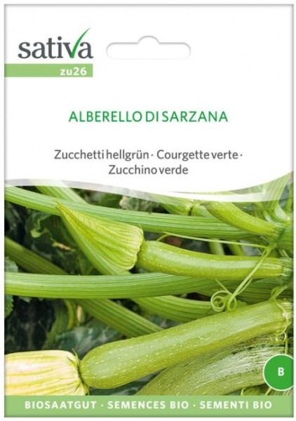 Bio Saatgut - Zucchetti Alberello di Sarzana