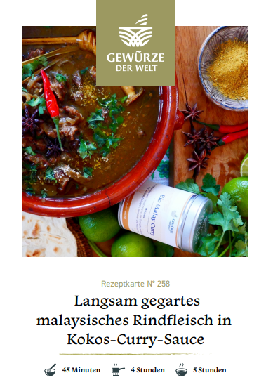 Rezeptkarte N°258 Langsam gegartes malaysisches Rindfleisch in Kokos-Curry-Sauce